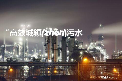 “高效城鎮(zhèn)污水處理流程，守護(hù)碧水藍(lán)天新篇章”